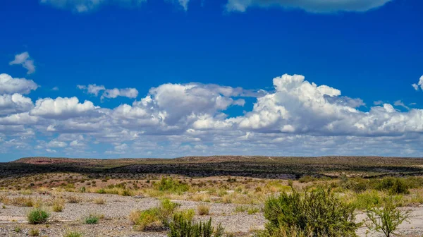 Chocon Område Ökenlandskap Tas Solig Varm Morgon Blå Himmel Med — Stockfoto