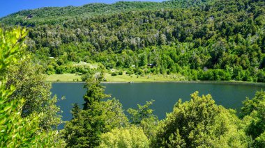  Rosales Gölü 'nün manzarası, San Martin de los Andes, Neuquen, Arjantin' de bir orman ve birkaç tepe ile çevrilidir. Sıcak bir yaz sabahı çekildi.