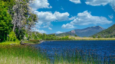  Rosales Gölü 'nün manzarası, San Martin de los Andes, Neuquen, Arjantin' de bir orman ve birkaç tepe ile çevrilidir. Sıcak bir yaz sabahı çekildi.
