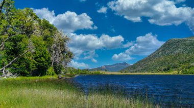  Rosales Gölü 'nün manzarası, San Martin de los Andes, Neuquen, Arjantin' de bir orman ve birkaç tepe ile çevrilidir. Sıcak bir yaz sabahı çekildi.