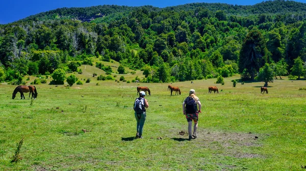 Two Young Women Hiking Forest San Martin Los Andes Surrounded — Stock Photo, Image