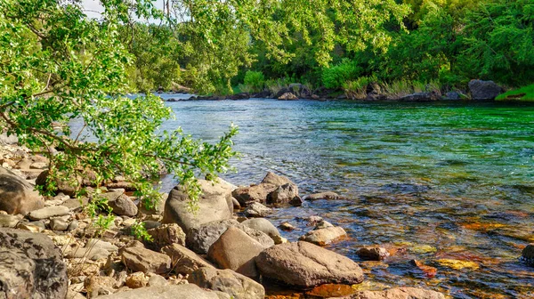 Río Montaña Aguas Cristalinas Bosque San Martín Los Andes Neuquén — Foto de Stock