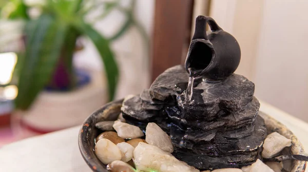  Sıcak bir yaz sabahı birkaç yeşil bitkinin yanındaki dekoratif bir zen çeşmesinin yakın görüntüsü.