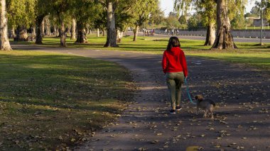  Gün batımında yeşil bir parkta köpeğini gezdiren genç bir kadın.