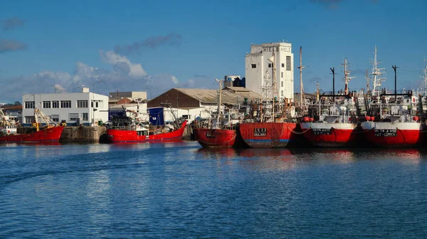 马德普拉塔港五彩斑斓的老渔船 — 图库照片