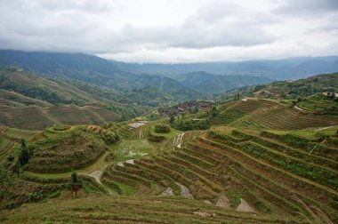 Tarlalara, dağlara, yağmurlu günlere bak