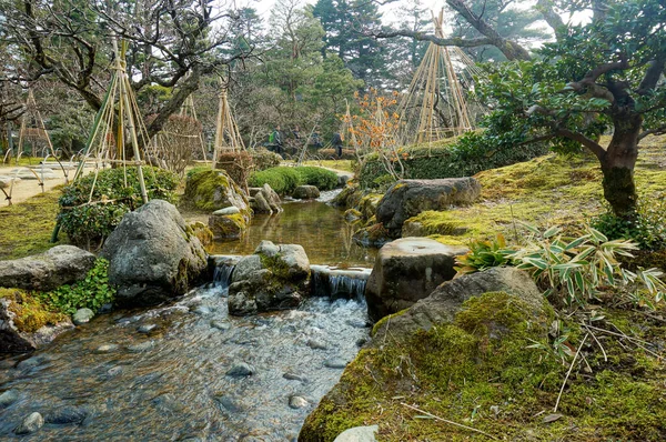 Yeşil Japon bahçesinin akarsu ve taşlarla manzarası
