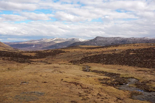 Arkaplanda bulutlu gökyüzünün altında engin sarı bozkırlar ve karlı tepeler 