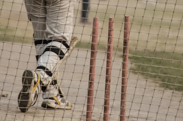 Крикет чистий практика . — стокове фото