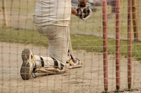 Cricket net praktijk. — Stockfoto