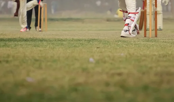 Cricket sta giocando — Foto Stock
