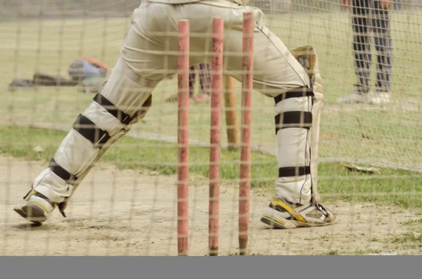 Cricket-Netztraining. — Stockfoto