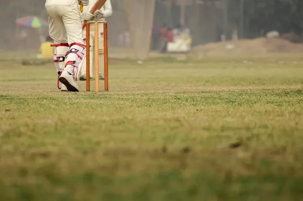 Cricket sta giocando — Foto Stock