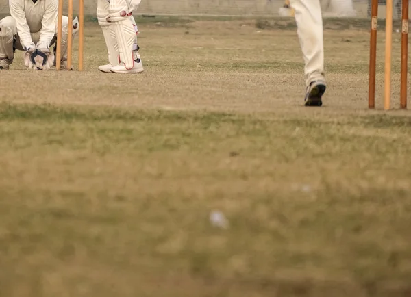 Kriket oynarken — Stok fotoğraf
