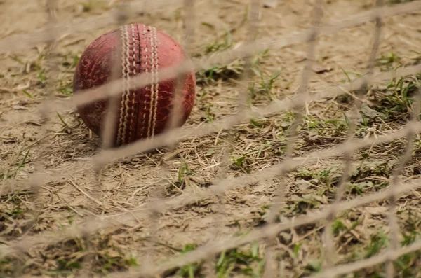 Kriket topu pis yerde