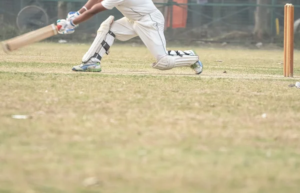 Kriket oynuyor — Stok fotoğraf