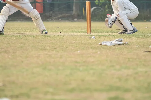 Cricket está jogando — Fotografia de Stock