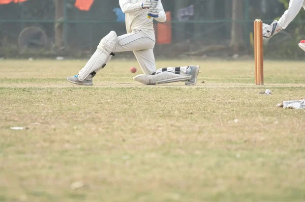 Cricket spelare är playimg — Stockfoto