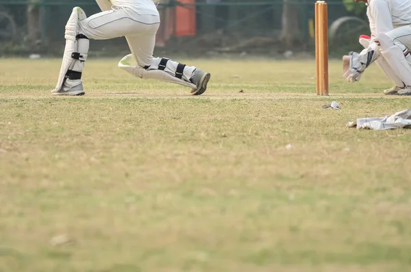 Giocatori di cricket sono playimg — Foto Stock