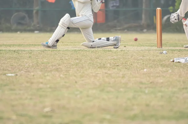 Giocatori di cricket sono playimg — Foto Stock