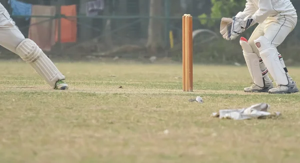 Jugadores de cricket están jugando —  Fotos de Stock