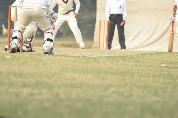 Jugadores de cricket están jugando —  Fotos de Stock