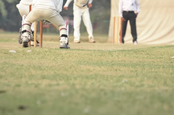 Cricket spelare är playimg — Stockfoto