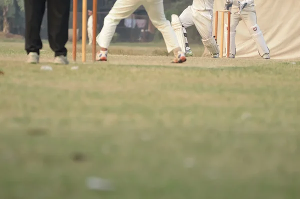 Cricket spelers zijn playimg — Stockfoto