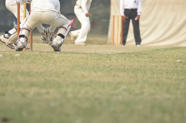 Cricket players are playimg — Stock Photo, Image