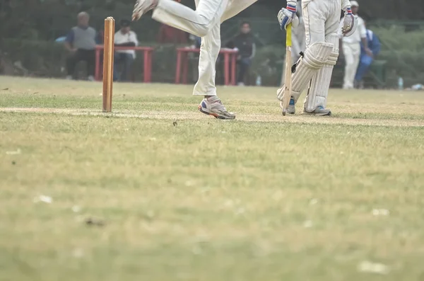 Cricket spelare är playimg — Stockfoto