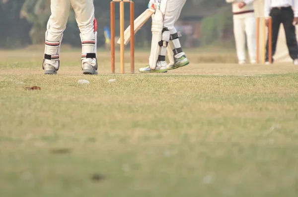 Jugadores de cricket están jugando —  Fotos de Stock