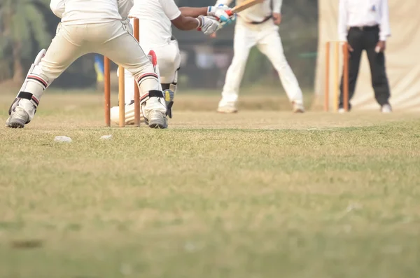 Cricket stanno giocando — Foto Stock