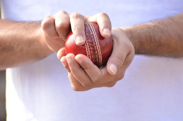 Cricket Bowler sosteniendo la pelota —  Fotos de Stock