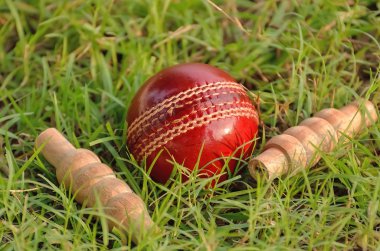 Kriket topu ve bails
