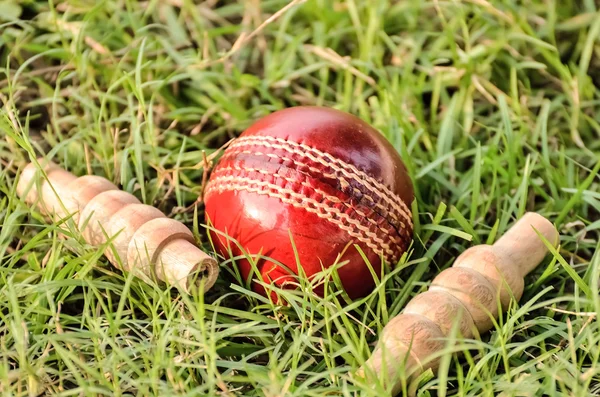 Kriket topu ve bails — Stok fotoğraf