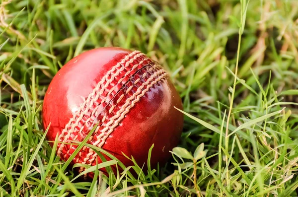 Balle de cricket sur herbe — Photo
