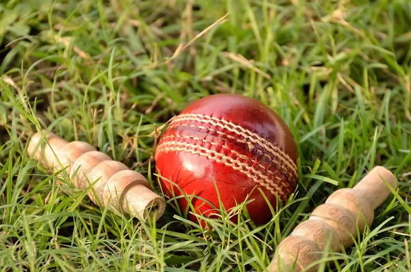 Balle de cricket et bails — Photo