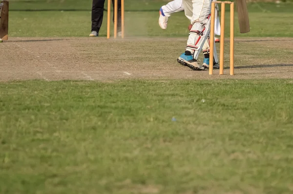 Çocuklar kriket oynuyor.