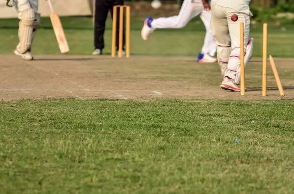 Kluci hrajou kriket — Stock fotografie