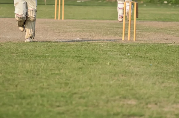 I ragazzi stanno giocando a cricket — Foto Stock