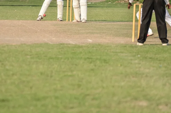 Boys are playing cricket. — Stock Photo, Image