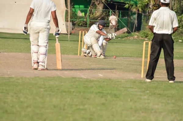Kluci hrajou kriket — Stock fotografie