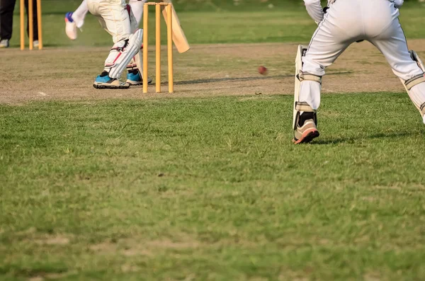 Хлопчики грають крикет — стокове фото