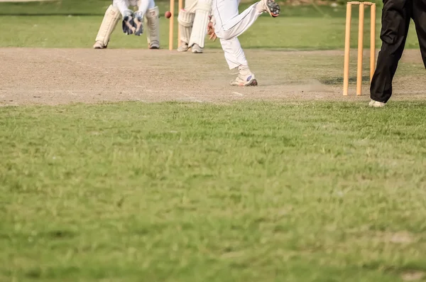 Хлопчики грають крикет — стокове фото