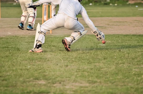 Boys are playing cricket