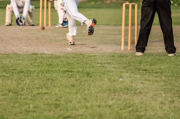 Ragazzi che giocano a cricket — Foto Stock