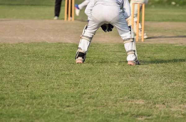 I ragazzi stanno giocando a cricket — Foto Stock