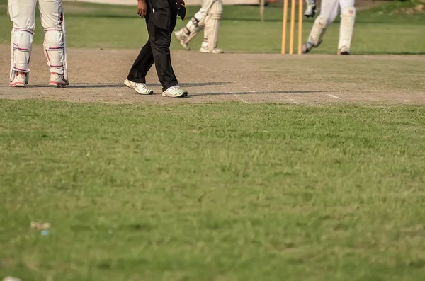 Ragazzi che giocano a cricket — Foto Stock