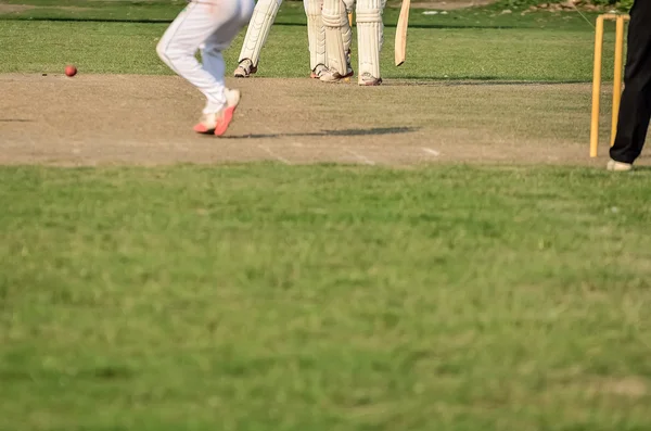 Junge spielt Cricket — Stockfoto
