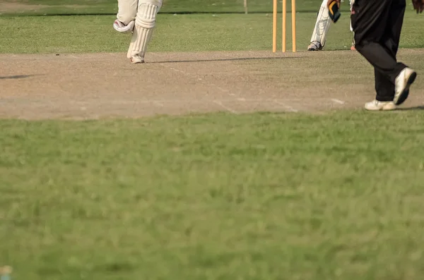 Хлопчик грає крикет — стокове фото